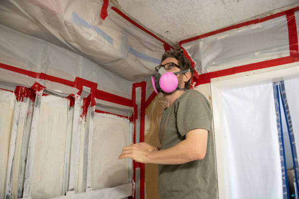 Best Mold Damage Restoration  in Union, KY